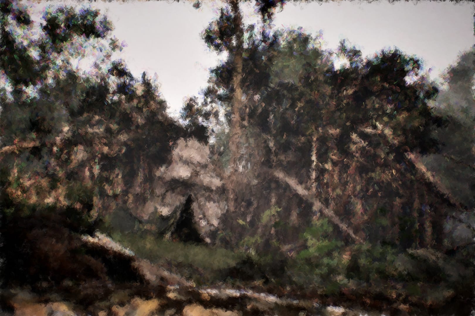 OilPaint11